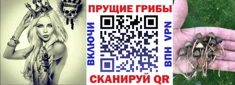 Псилоцибиновые грибы ЛСД  мега   Скопин  как найти  