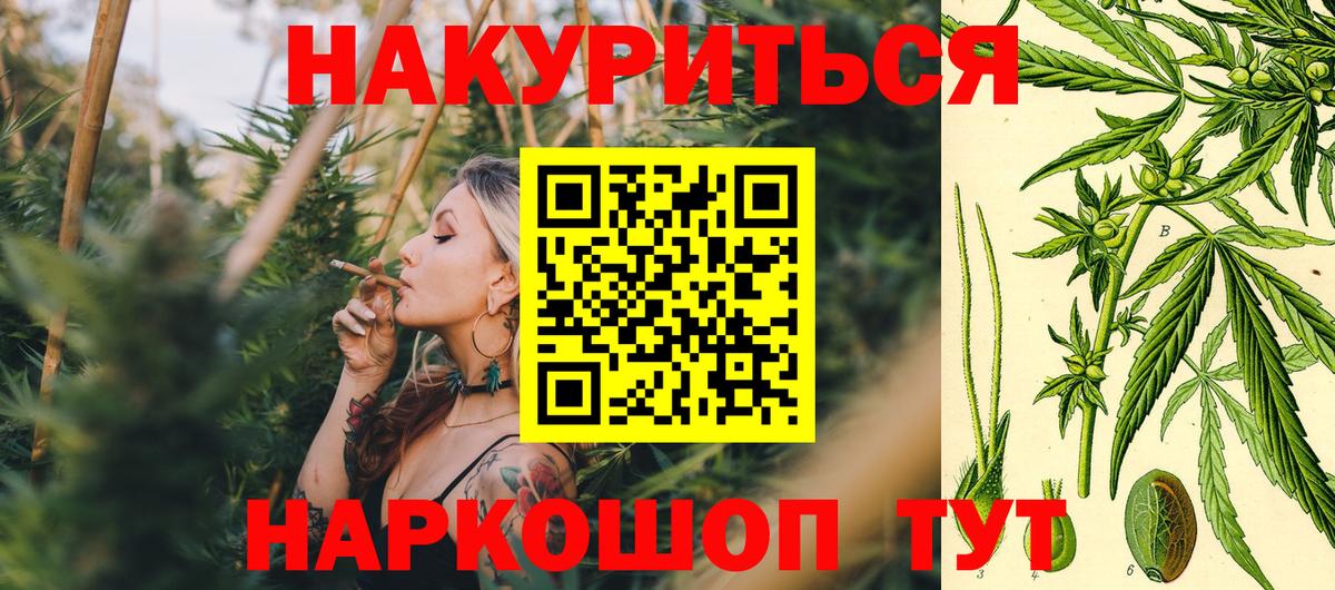Бошки Шишки MAZAR  Марихуана семена  Вход с VPN  Скопин 